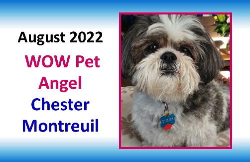 AUGUST 2022 WOW Pet Angel