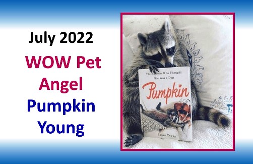 JULY 2022 WOW Pet Angel
