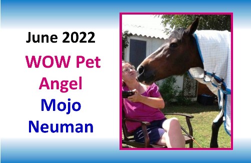 JUNE 2022 WOW Pet Angel
