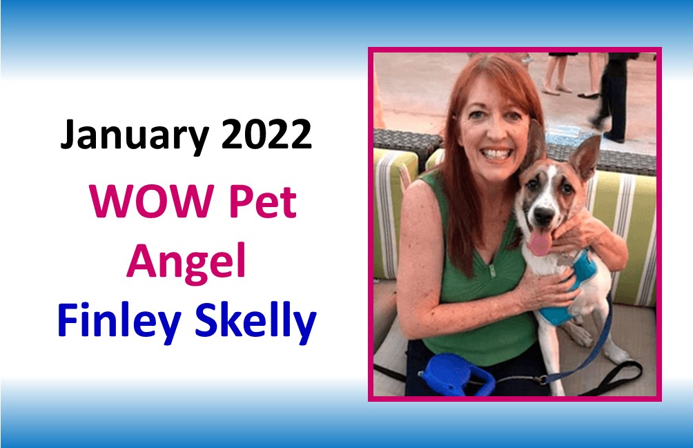 JANUARY 2022 WOW Pet Angel