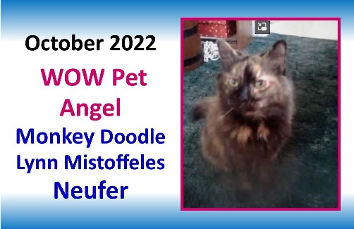 OCTOBER 2022 WOW Pet Angel