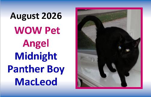 AUGUST 2026 WOW Pet Angel