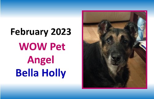 FEBRUARY 2023 WOW Pet Angel