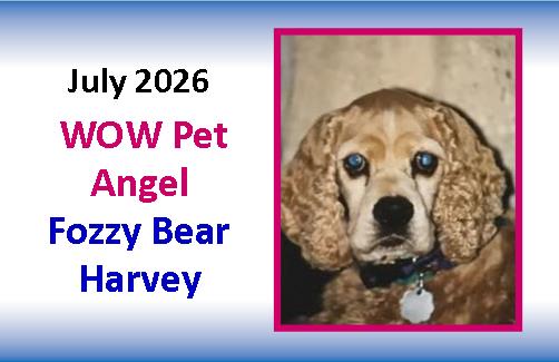 JULY 2026 WOW Pet Angel
