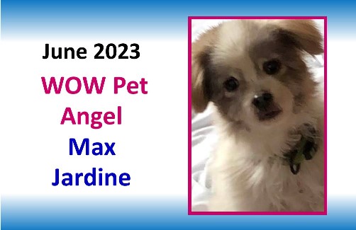 JUNE 2023 WOW Pet Angel