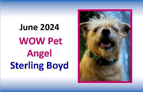 JUNE 2024 WOW Pet Angel