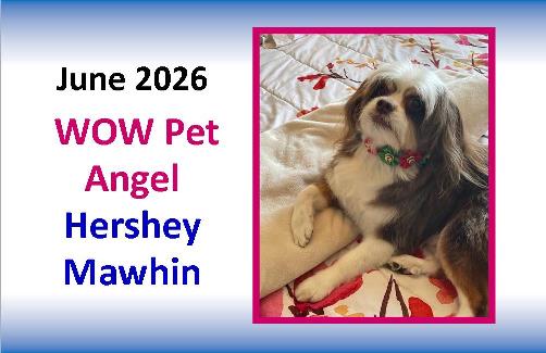JUNE 2026 WOW Pet Angel