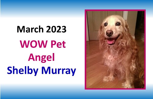 March 2023 WOW Pet Angel