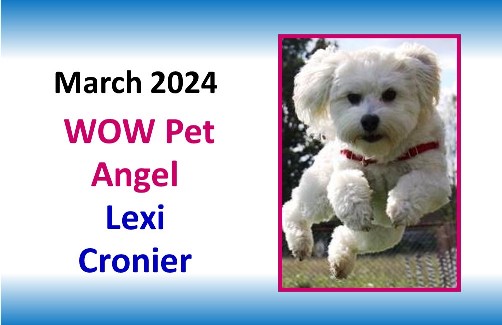 MAR 2024 WOW Pet Angel