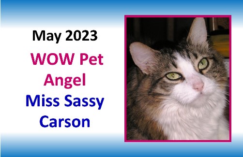 MAY 2023 WOW Pet Angel