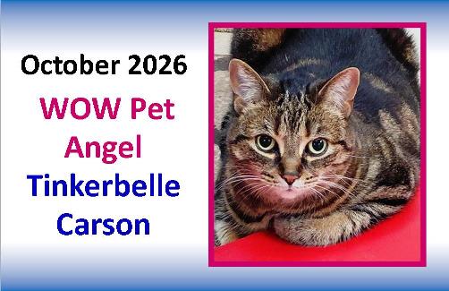 October 2026 WOW Pet Angel