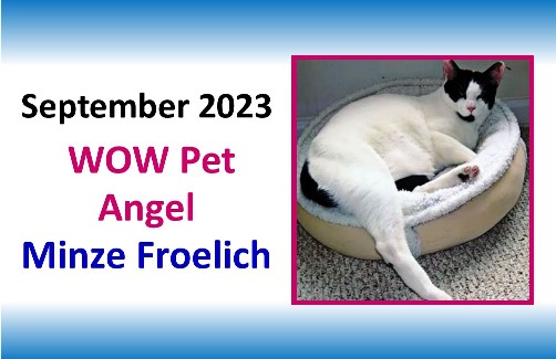 SEPT 2023 WOW Pet Angel